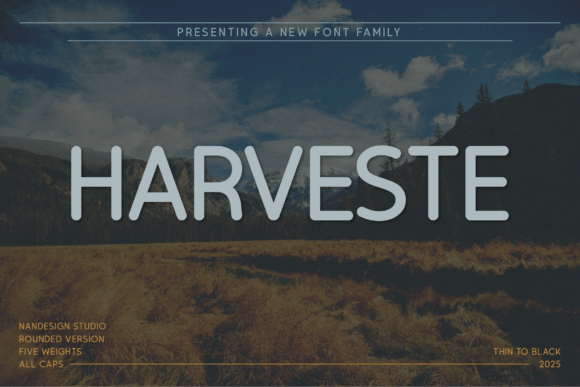 Harveste Rounded for Clear, Bold Campaign Messaging