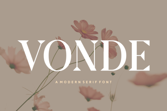 Upgrade Your Brand with the Vonde Serif Font