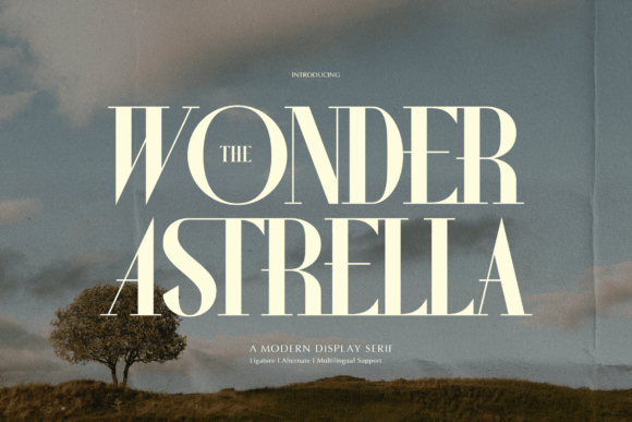 Wonder Astrella: A Serif Font for Editorial Elegance